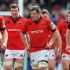 Guinness PRO12 2014/2015: Round 2 Predictions