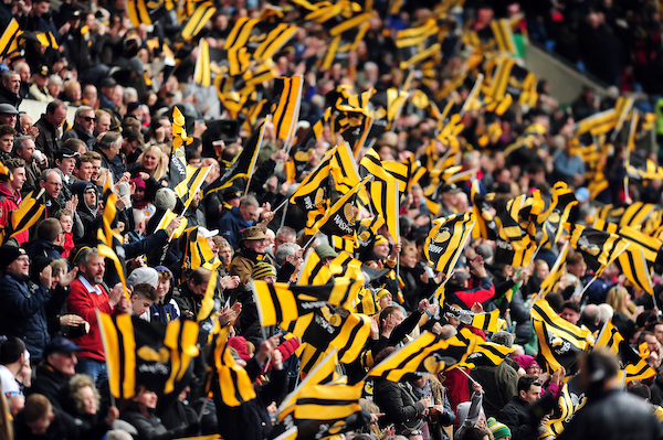 Wasps Rugby