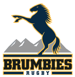 brumbies